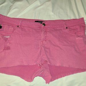 Torrid pink distressed shortie shorts